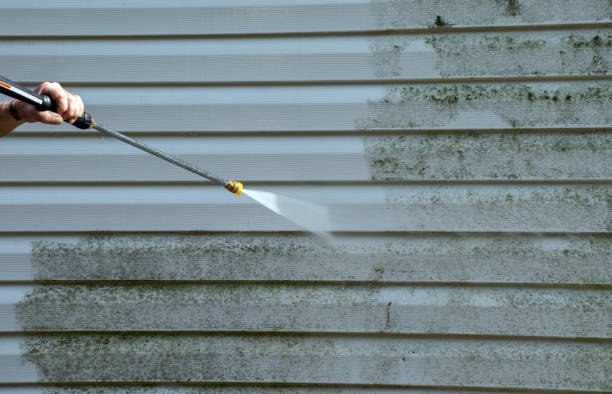 Mold Removal and Inspection in Caney, KS