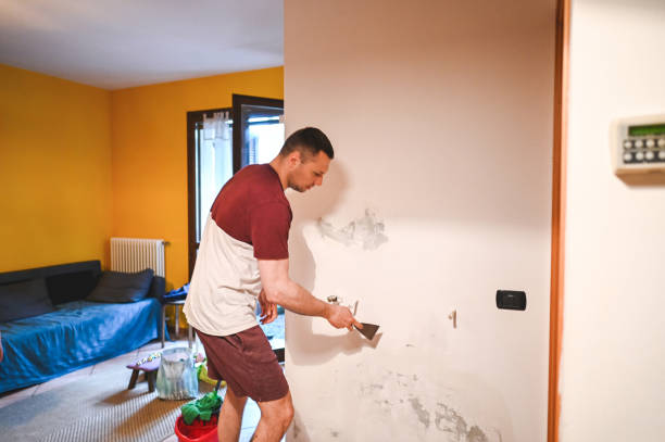 Best Toxic Mold Removal  in Caney, KS