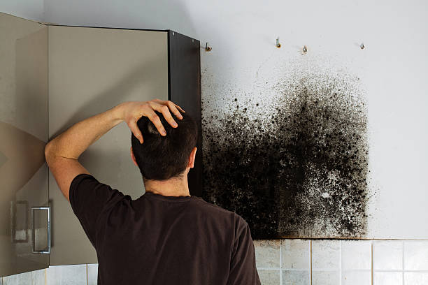 Water Damage Restoration in Caney, KS